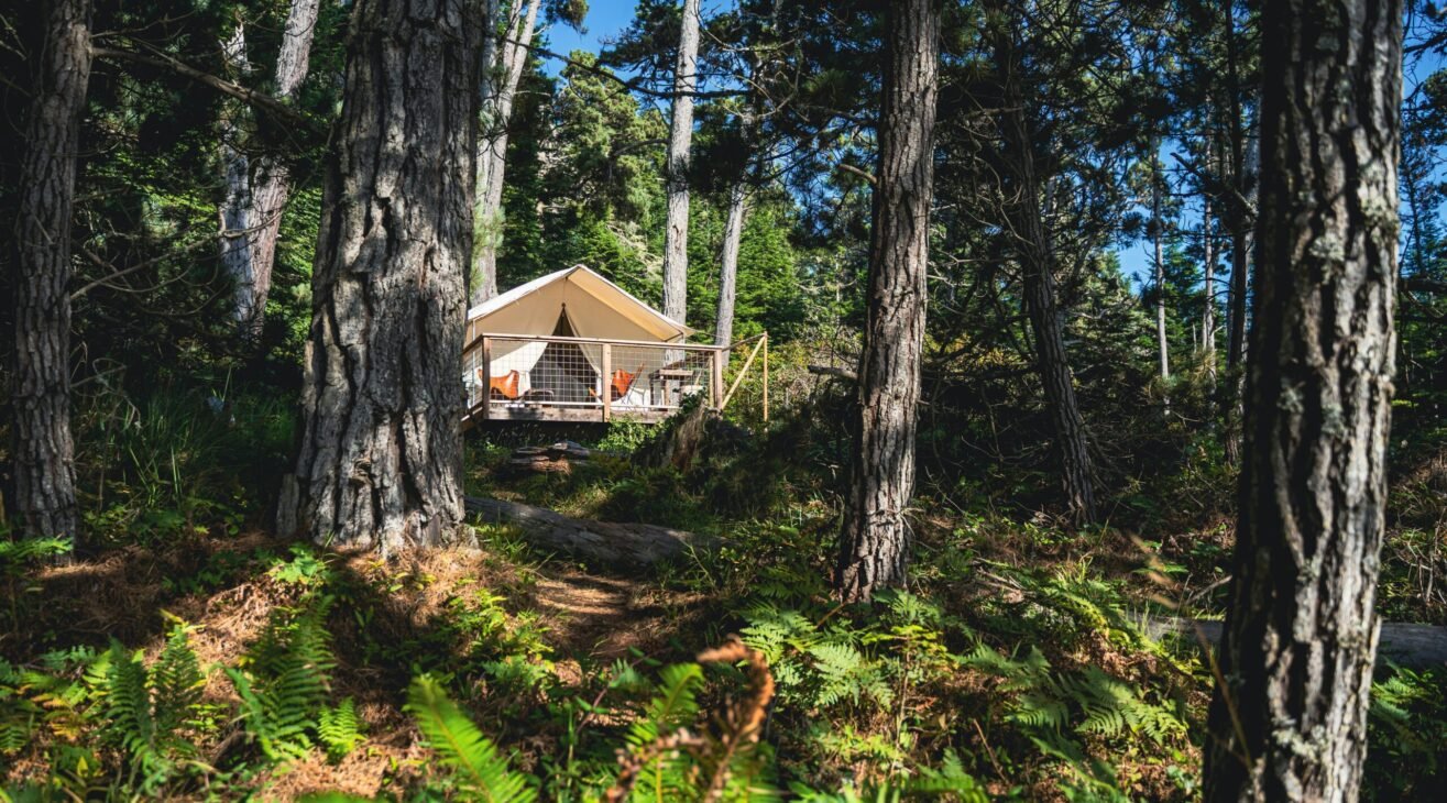 Why Glamping Is One of the Most Profitable Investments for Modern Campgrounds